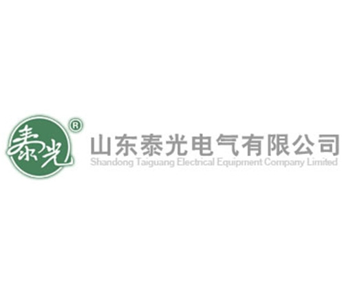 山東泰光電氣有限公司